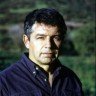 Héctor Alarcón Carrasco