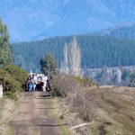 funeral mapuche