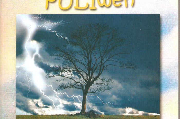 Aparece Revista Puliwen N° 2