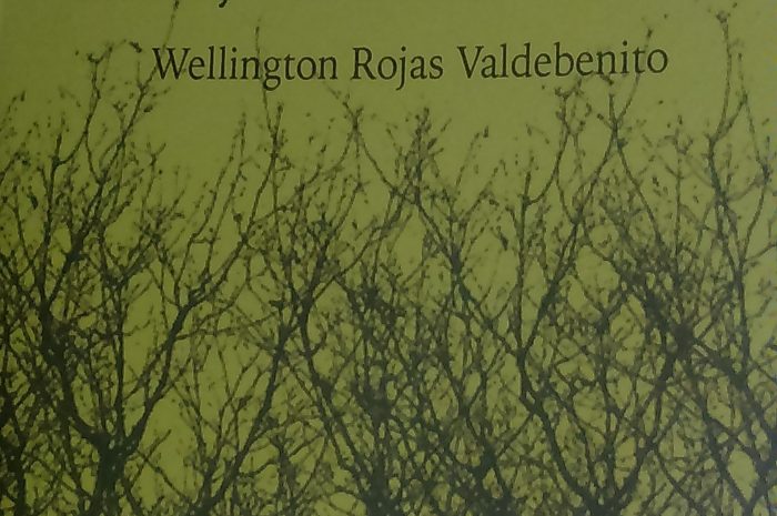 Wellington Rojas y “El bosque de los vocablos”