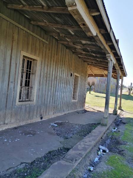 estacion selva oscura 2