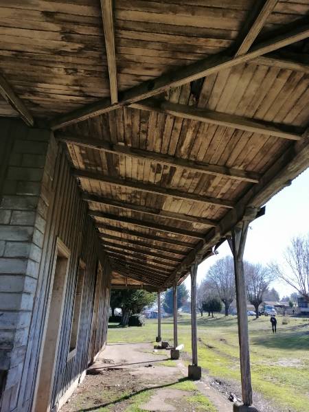 estacion selva oscura 3