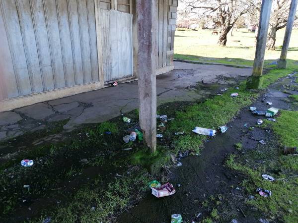 estacion selva oscura 4