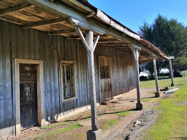 estacion selva oscura 5