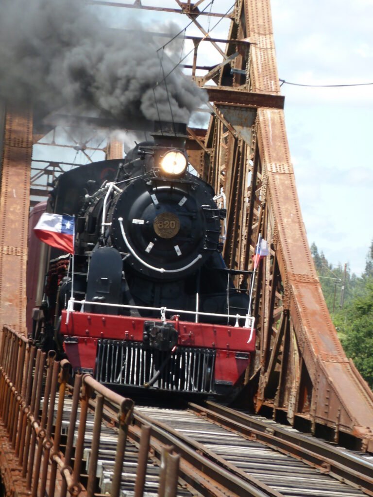 MAYO, MES DEL PATRIMONIO NACIONAL 2021 Puentes del Ferrocarril, Patrimonio Vigente de La Araucanía. 10 P1020527