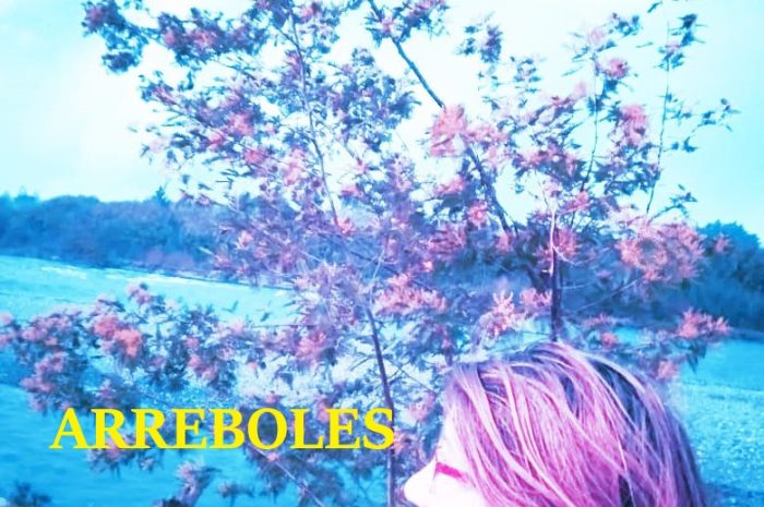 CON EL TÍTULO DE “ARREBOLES”, VICTORIA SANTANDER LANZA NUEVO LIBRO