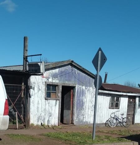 “El Riel” Renacer de la Bohemia en Selva Oscura